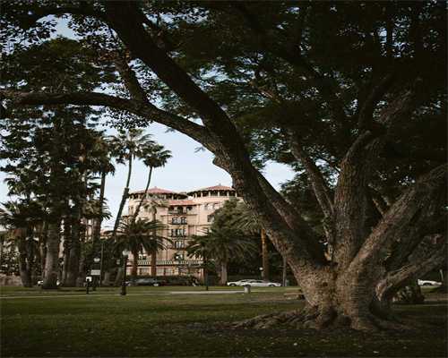 上海红房子妇产试管婴儿流程是怎样的